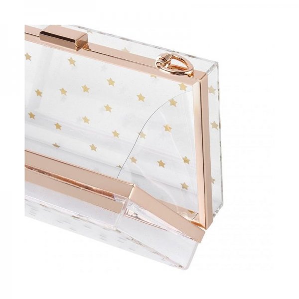 TRANSPARENT EVENING HANDBAGS CROSS BODY APPROVED - STAR